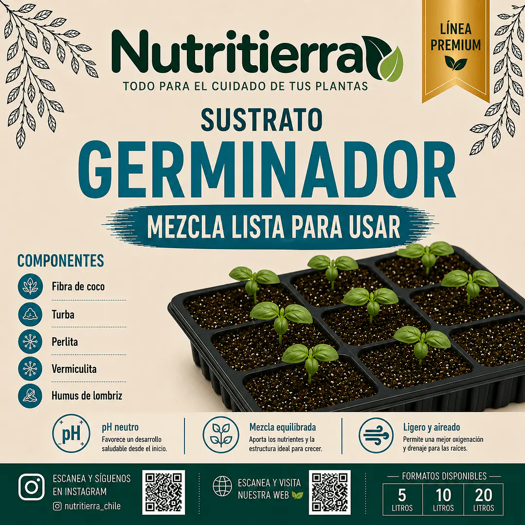 Sustrato para Almácigos y Germinación de Semillas | Mezcla Premium 1