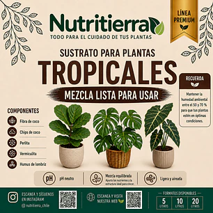 Sustrato para Plantas Tropicales | Drena mejor y evita pudrición – Nutritierra