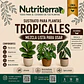 Sustrato para Plantas Tropicales | Drena mejor y evita pudrición – Nutritierra - Miniatura 1