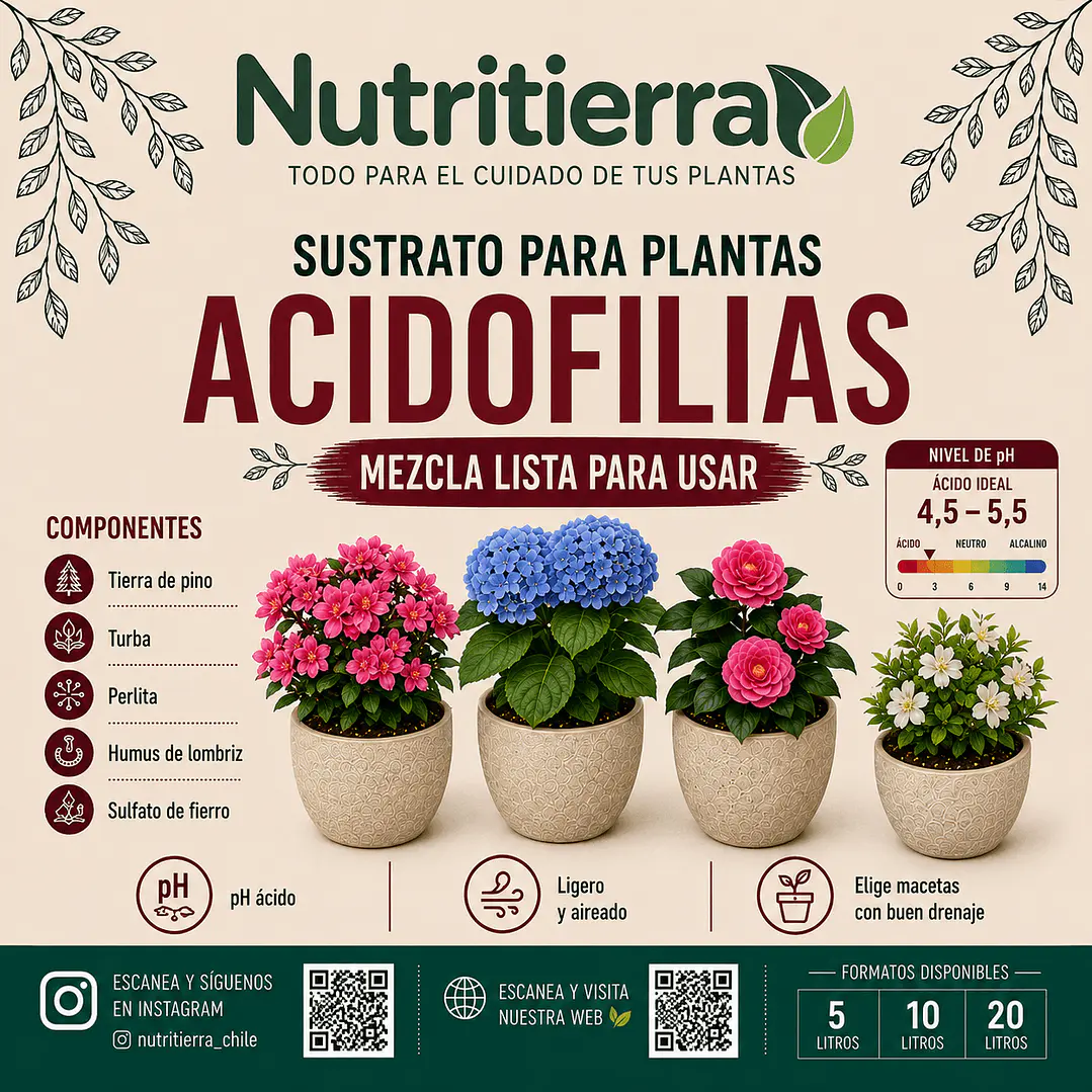Sustrato Ácido Premium para Hortensias y Plantas Acidófilas | Nutritierra 1