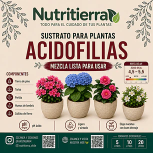 Sustrato Ácido Premium para Hortensias y Plantas Acidófilas | Nutritierra