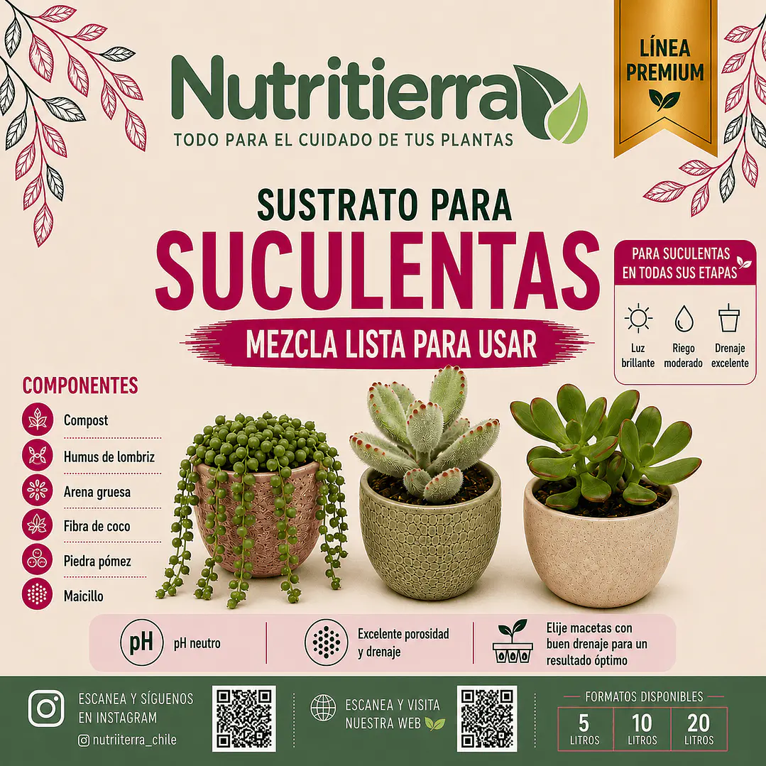 Sustrato para Suculentas – Todas sus Etapas 1