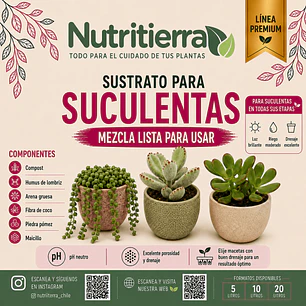 Sustrato para Suculentas – Todas sus Etapas