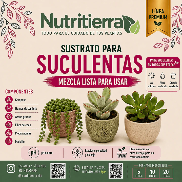 Sustrato para Suculentas – Todas sus Etapas 1