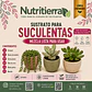 Sustrato para Suculentas – Todas sus Etapas - Miniatura 1