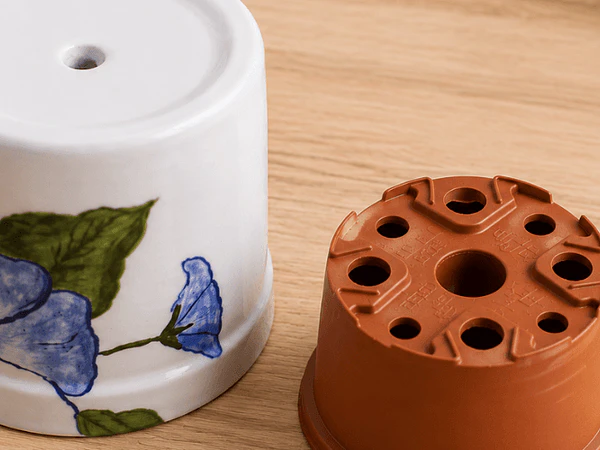 La maceta que estás usando podría estar matando tu planta