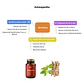 Ashwagandha, 90 cáps, 500 mg | RI&CO - Miniatura 2