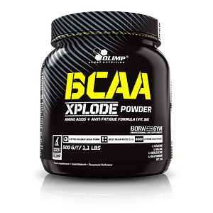 BCAA XPLODE POWDER 500 GR. 