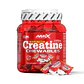 Creatina Monohidrato Masticable 60 tabl – Amix™ - Miniatura 1