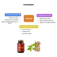 Ashwagandha, 90 cáps, 500 mg | RI&CO - Miniatura 2