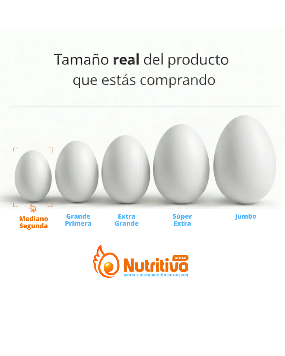 Huevos Tradicionales Blancos Mediano Caja de 100 Unidades 2