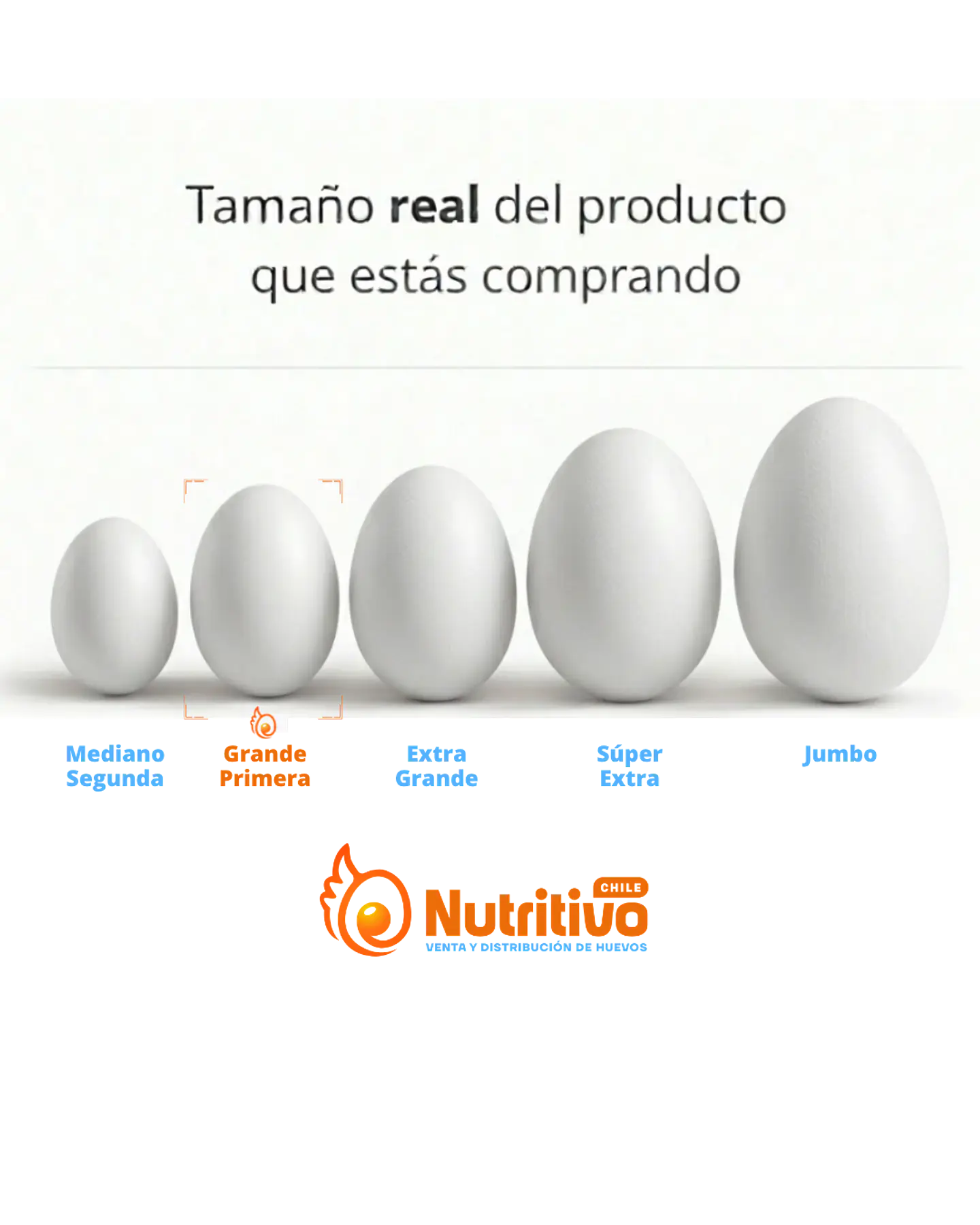 Huevos Tradicionales Blancos Grande Caja de 100 Unidades 2