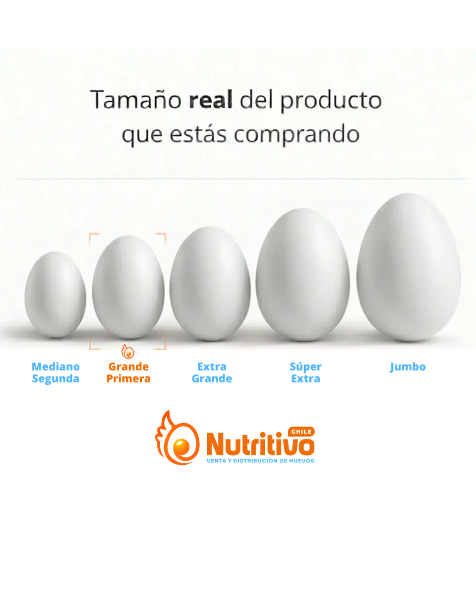 Huevos Tradicionales Blancos Grande Caja de 100 Unidades 2