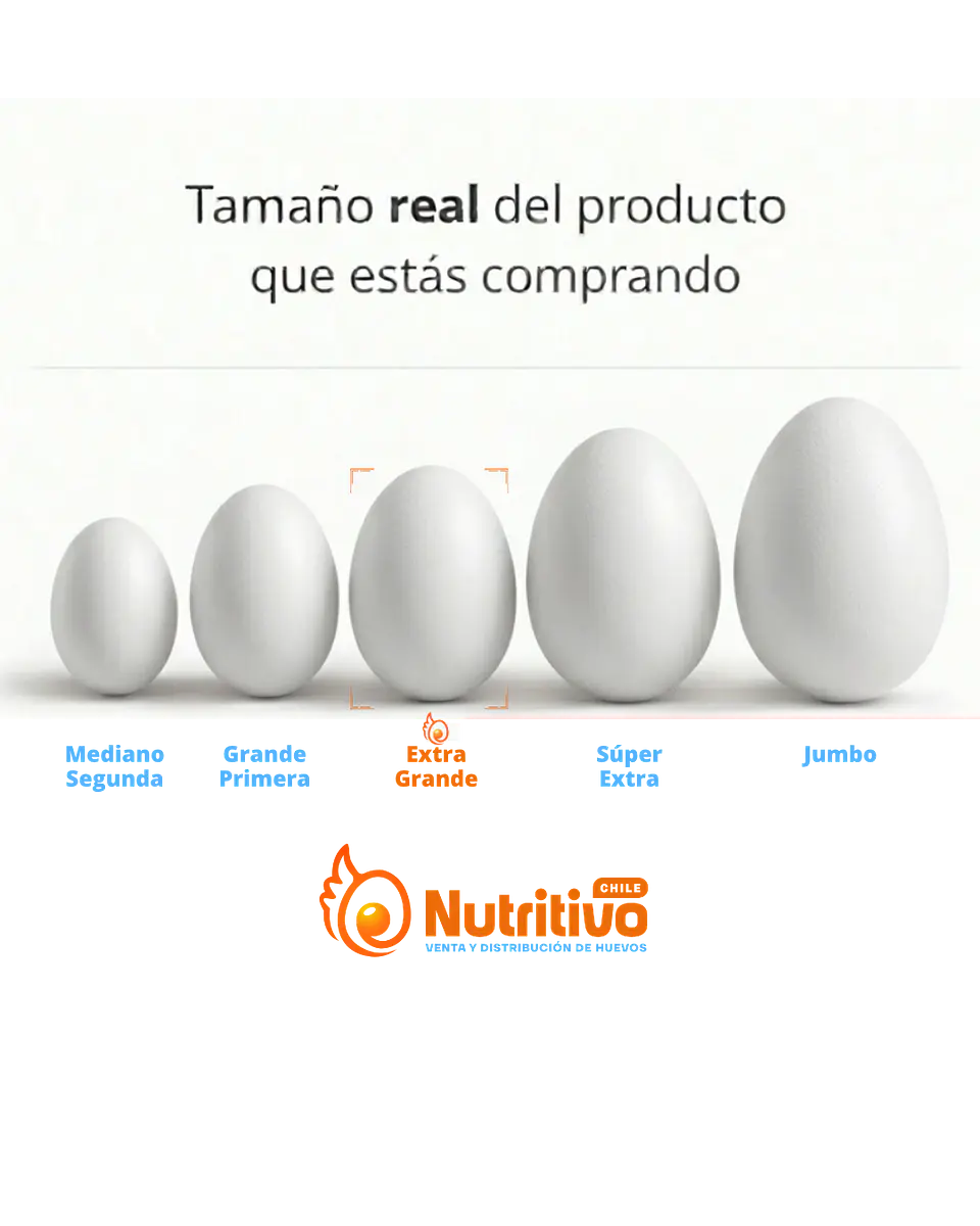 Huevos Tradicionales Blancos Extra Grandes Caja de 100 Unidades 2