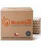 Huevos Tradicionales Blancos Jumbo Caja de 100 Unidades - Miniatura 1