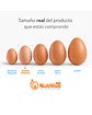 Huevos Tradicionales Color Grande Caja de 100 Unidades - Miniatura 2