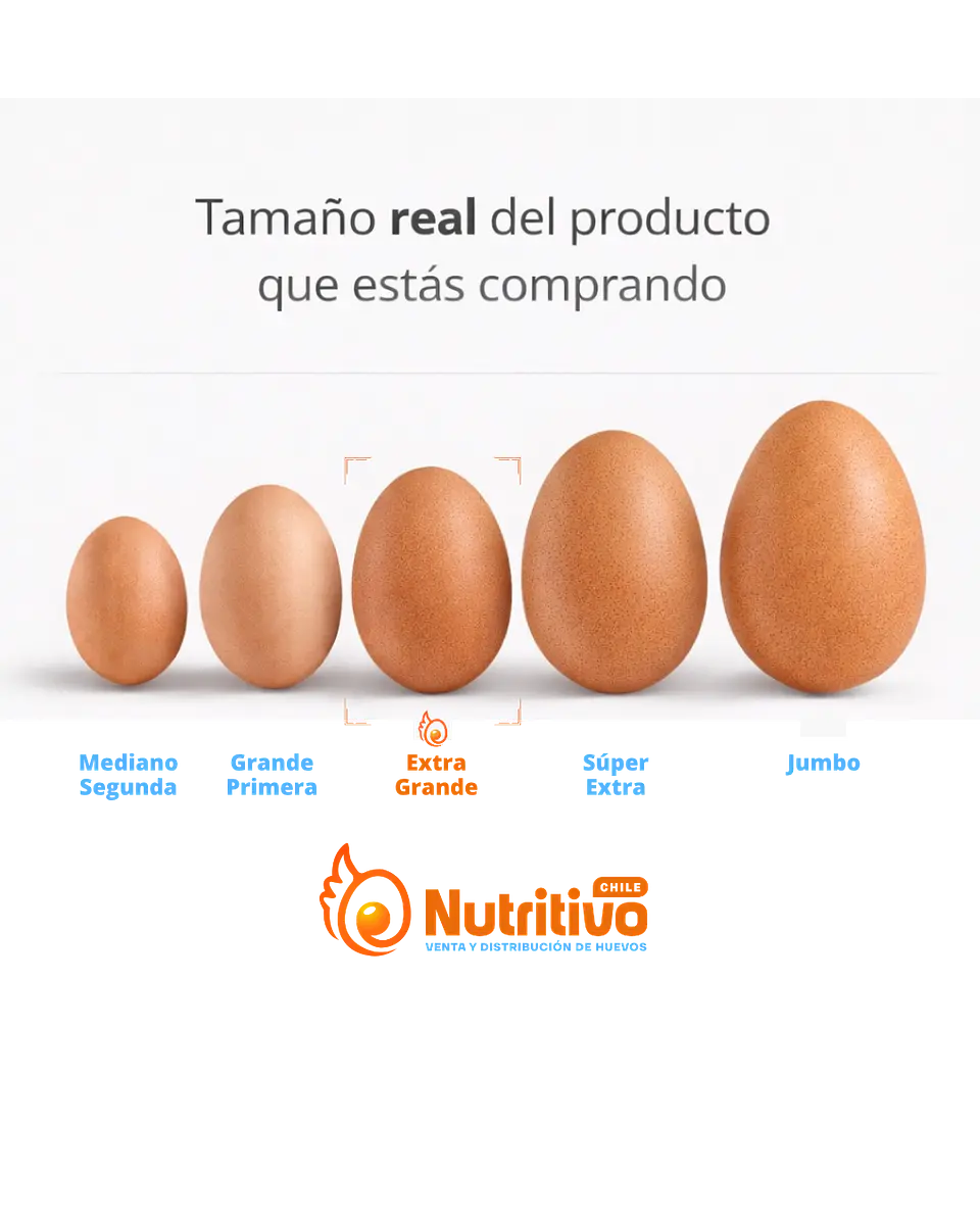 Huevos Tradicionales Color Extra Grandes Caja de 100 Unidades 2
