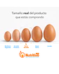 Huevos Tradicionales Color Extra Grandes Caja de 180 Unidades - Miniatura 2