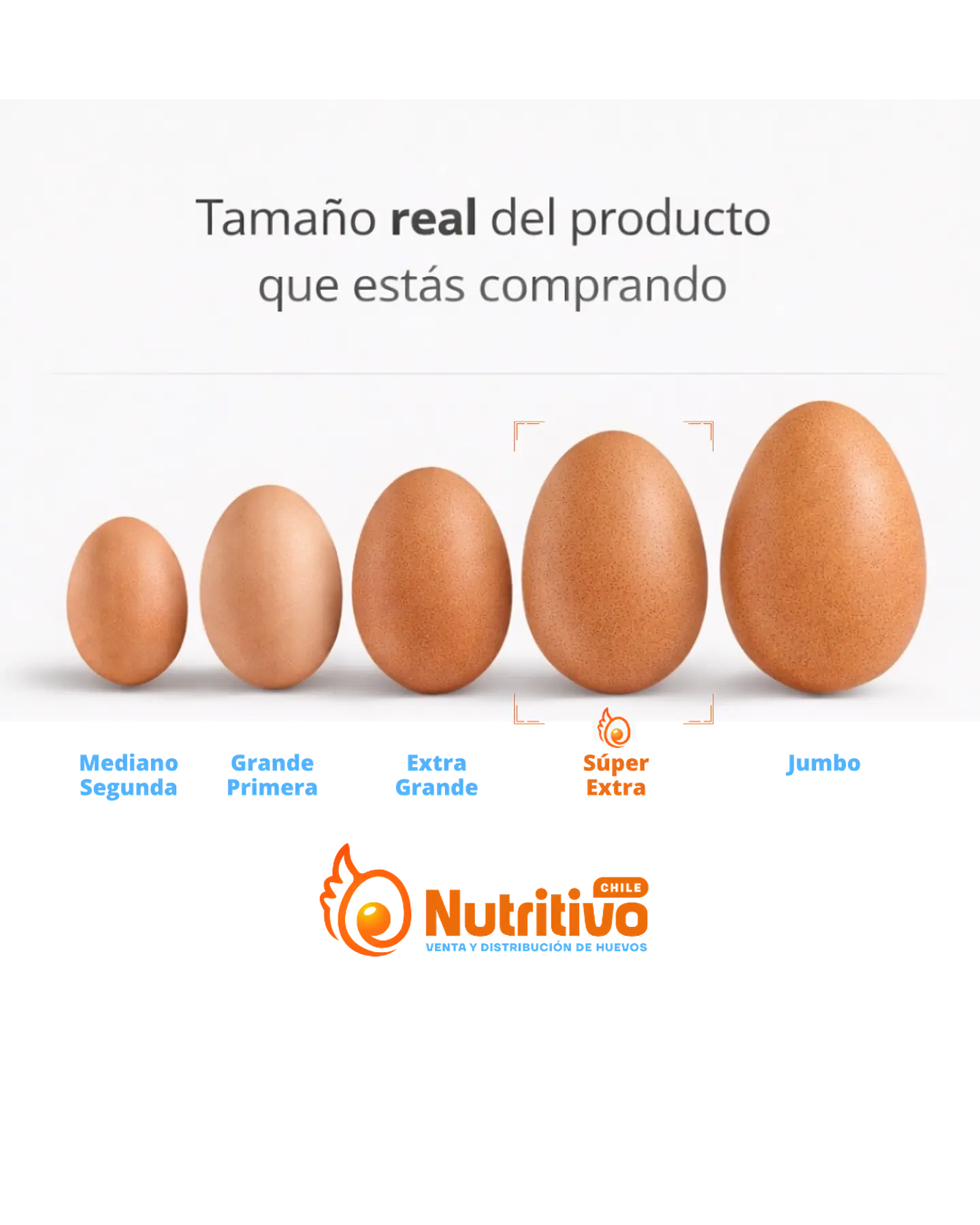Huevos Tradicionales Color Súper Extra Caja de 100 Unidades 2