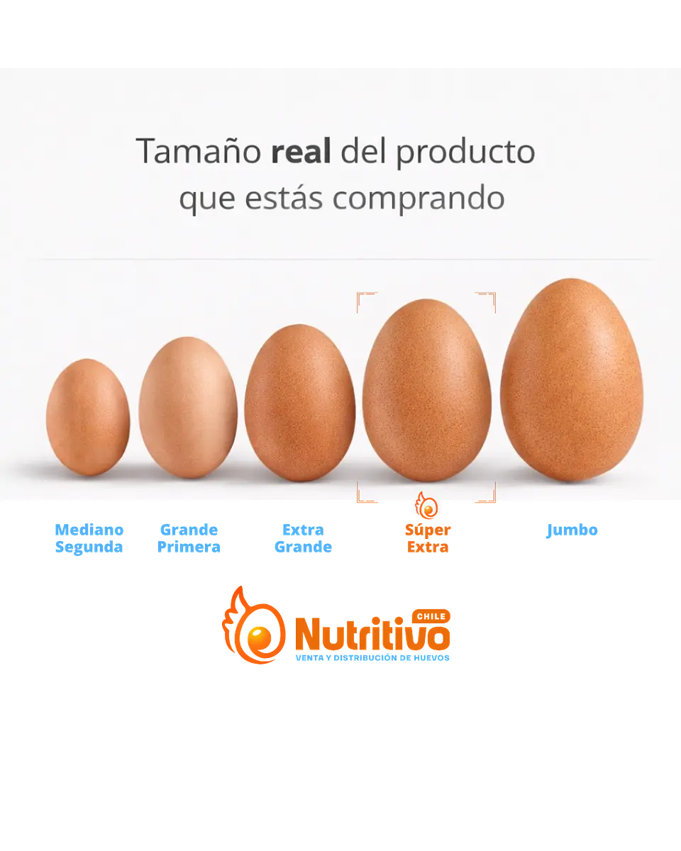 Huevos Tradicionales Color Súper Extra Caja de 100 Unidades 2
