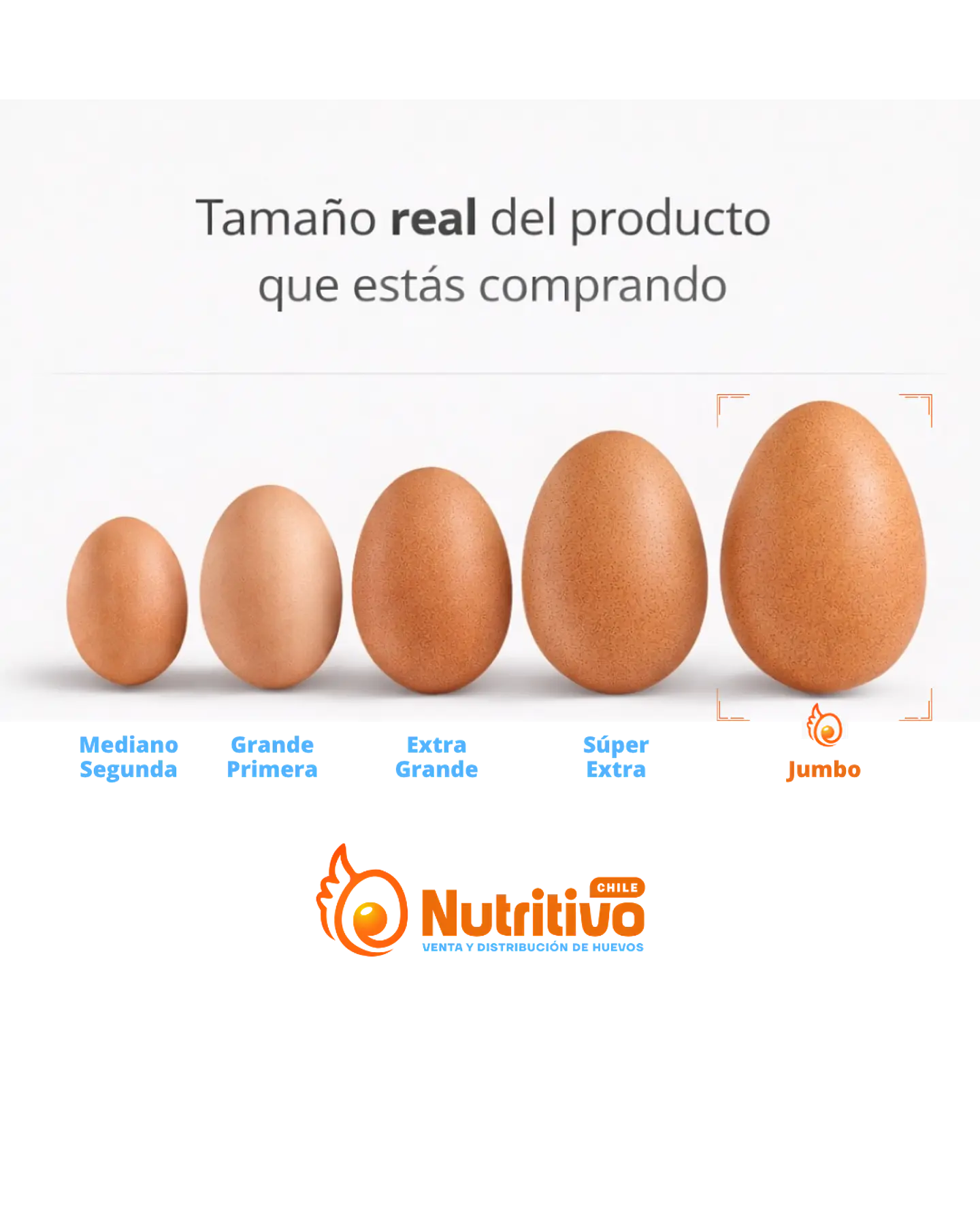Huevos Tradicionales Color Jumbo Caja de 100 Unidades 2
