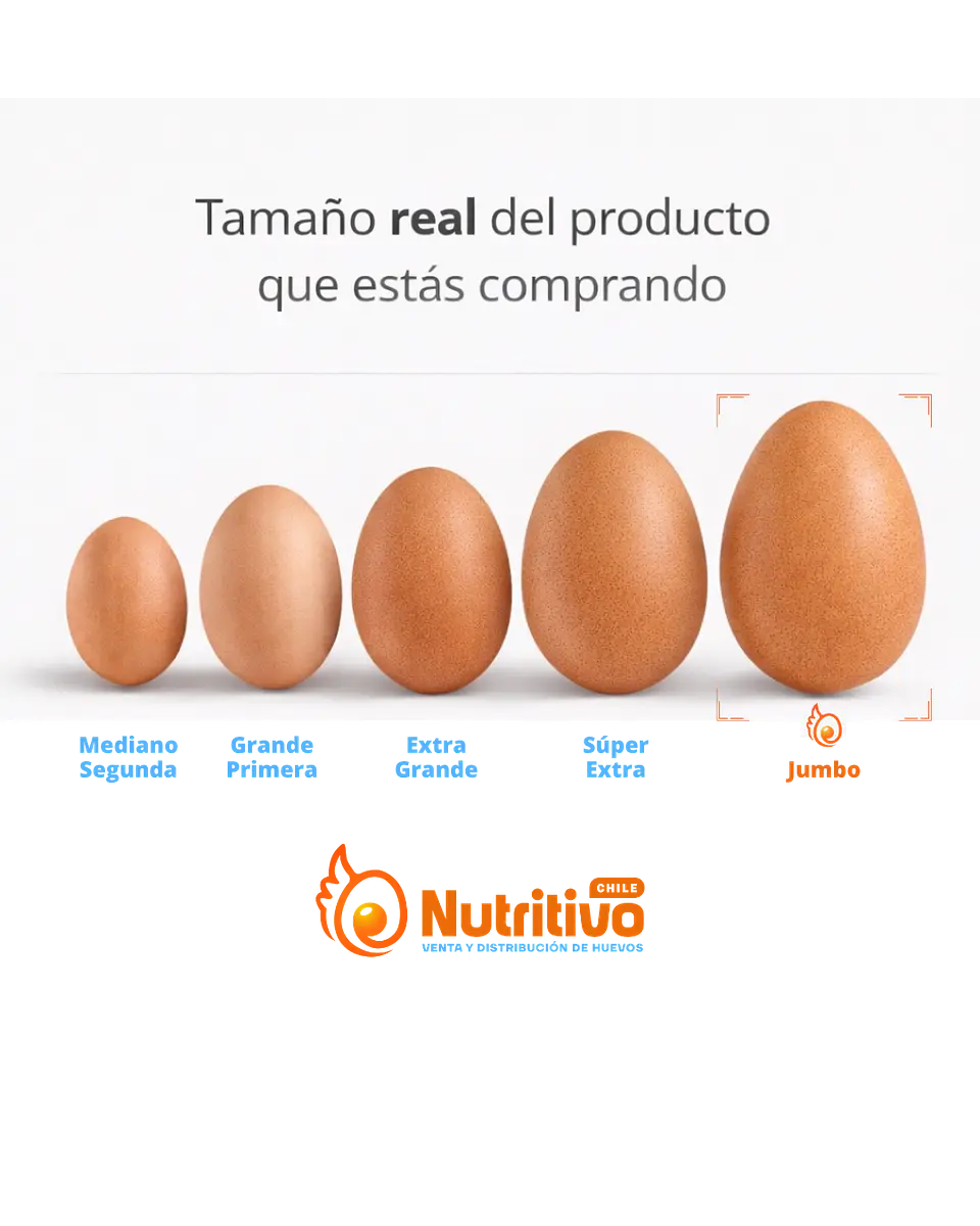 Huevos Tradicionales Color Jumbo Caja de 100 Unidades 2