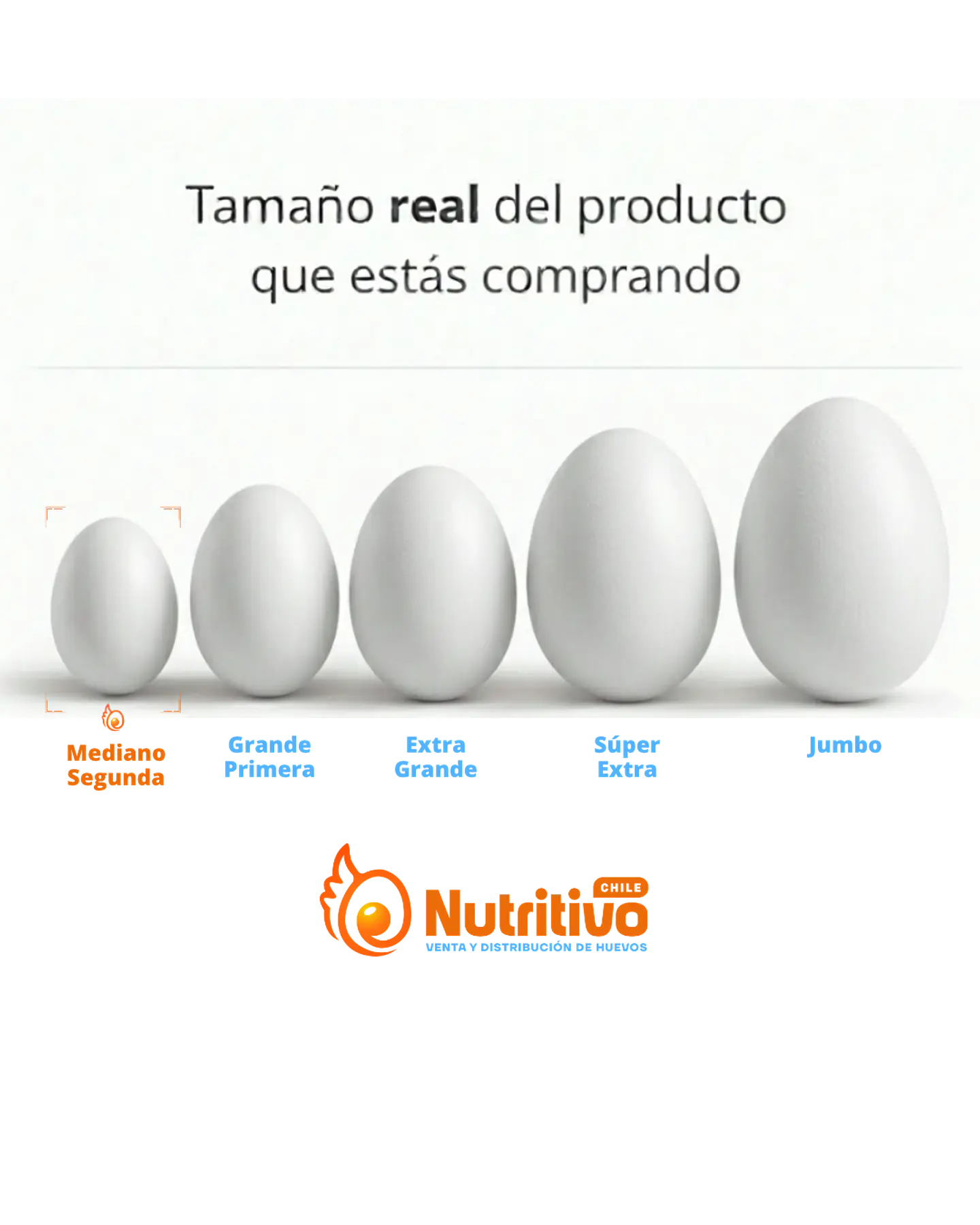 Huevos Selección Mediano Caja de 100 Unidades 2