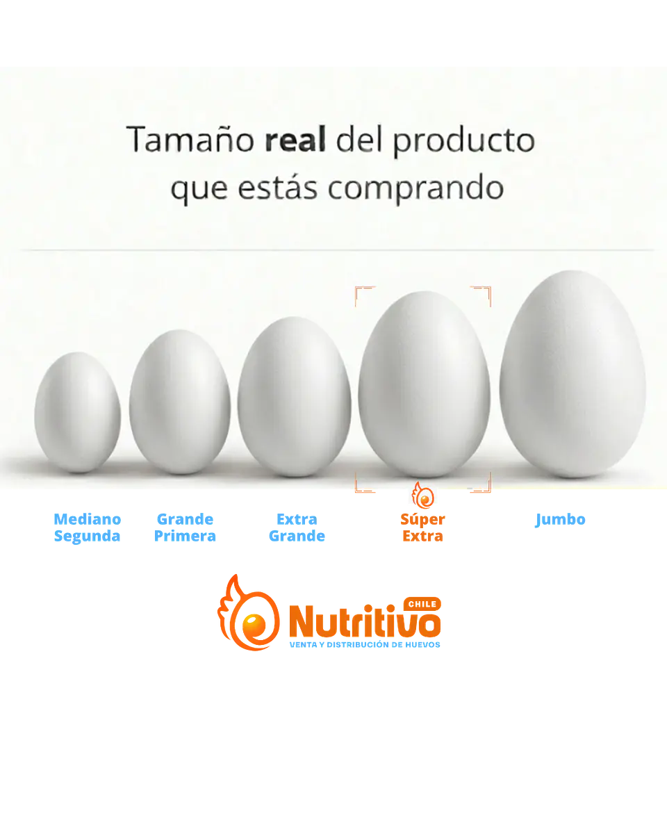 Huevos Selección Súper Extra Caja de 100 Unidades 2