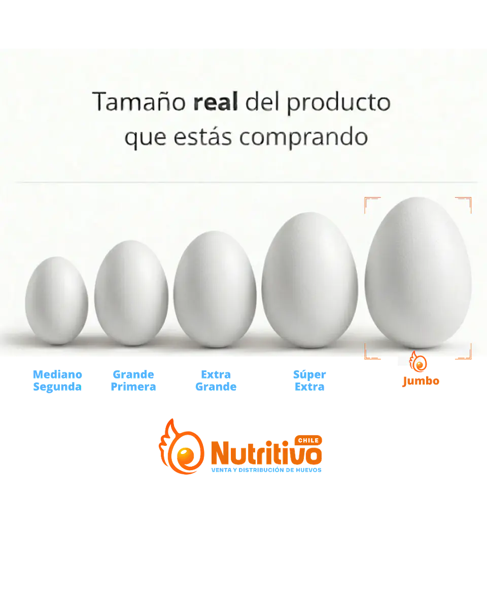 Huevos Selección Jumbo Caja de 100 Unidades 2