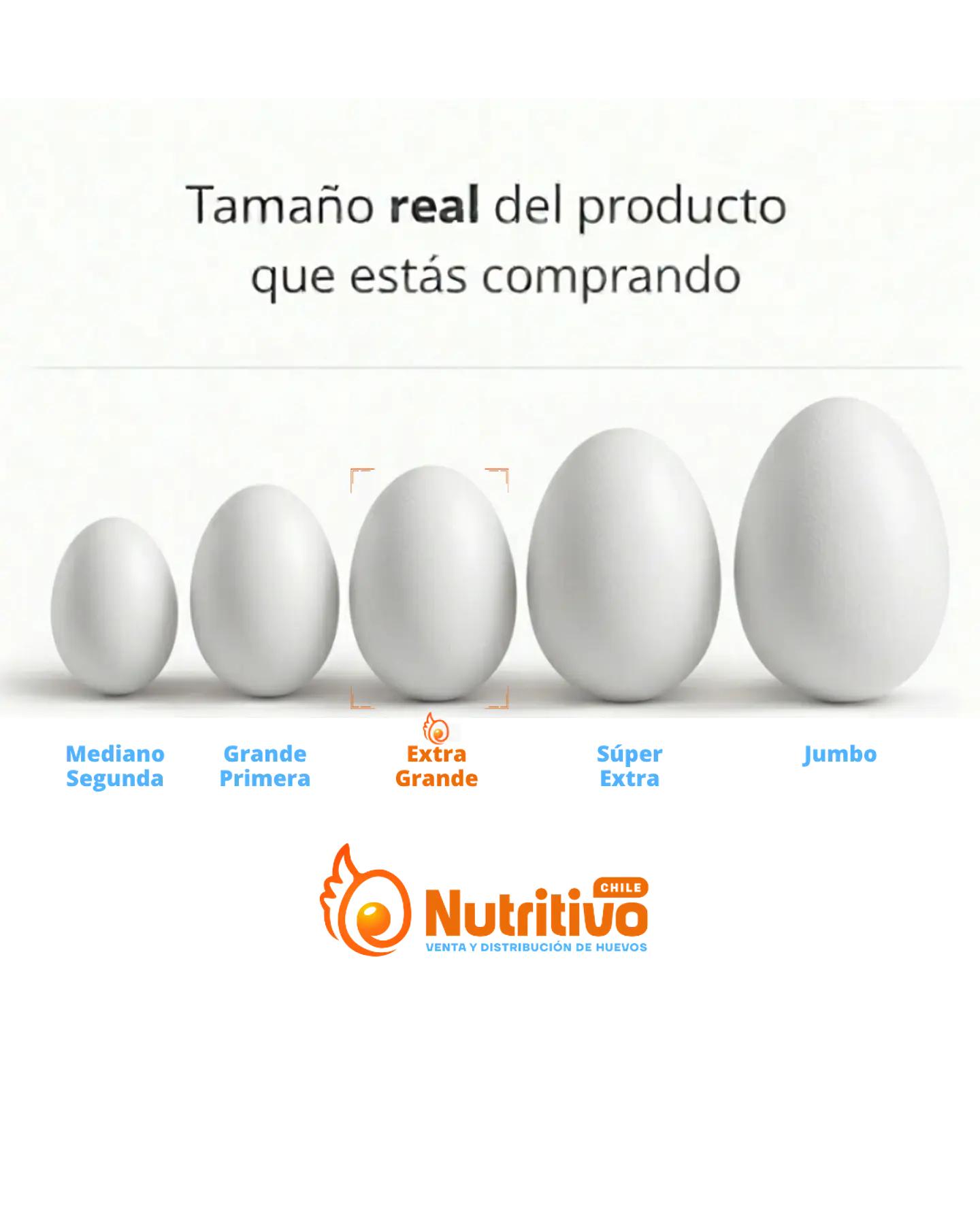 Huevos Premium Extra Grande Caja de 100 Unidades 2