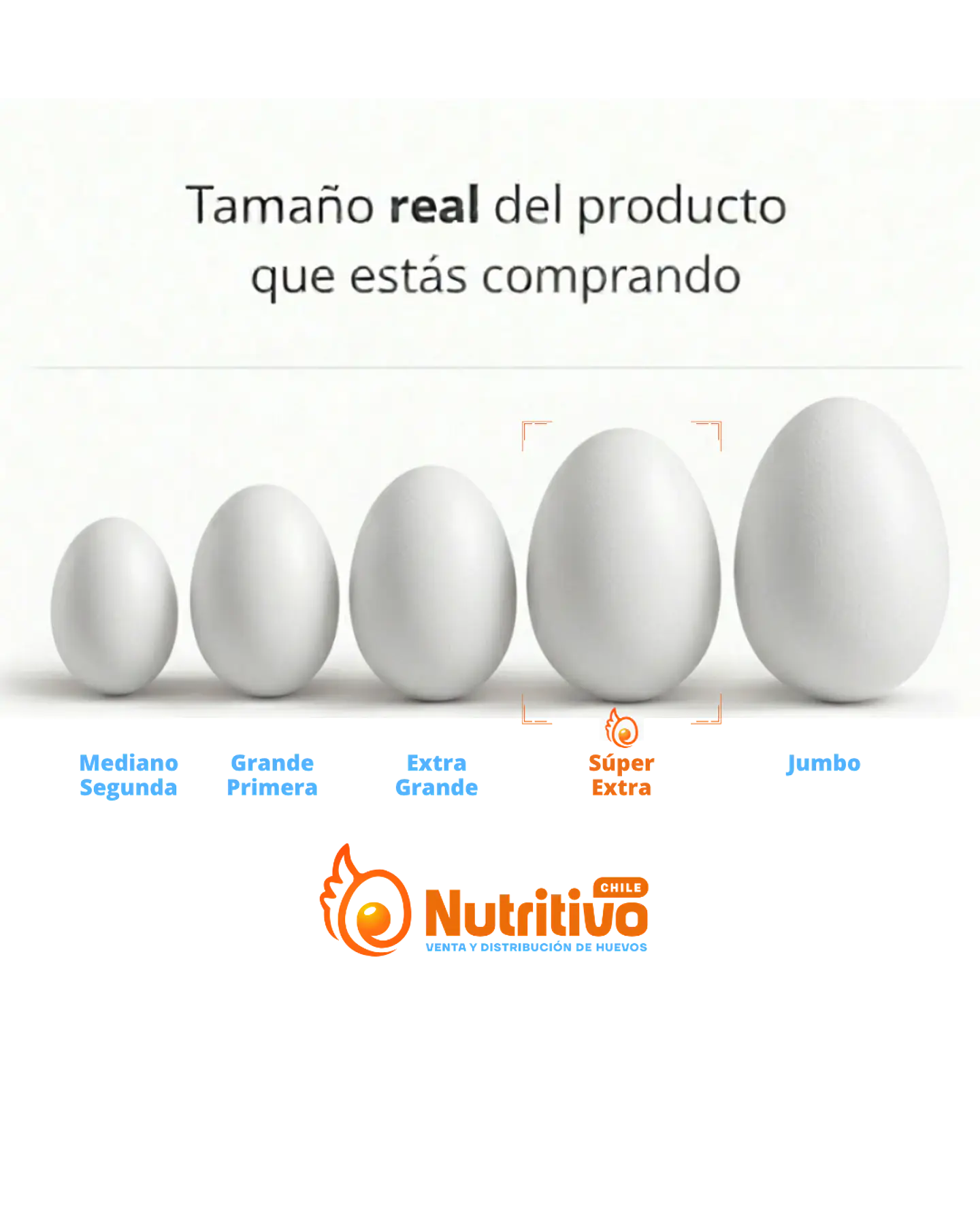 Huevos Premium Súper Extra Caja de 120 Unidades 2