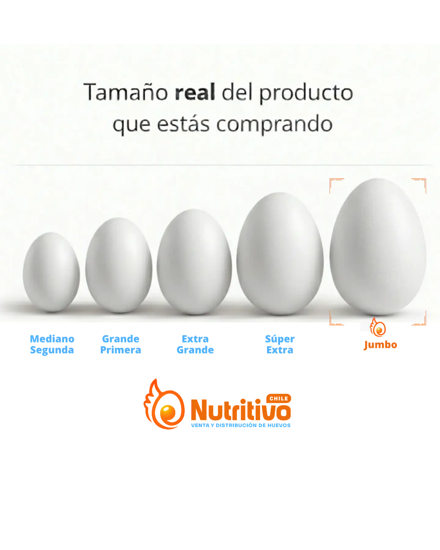 Huevos Premium Jumbo Caja de 100 Unidades 2