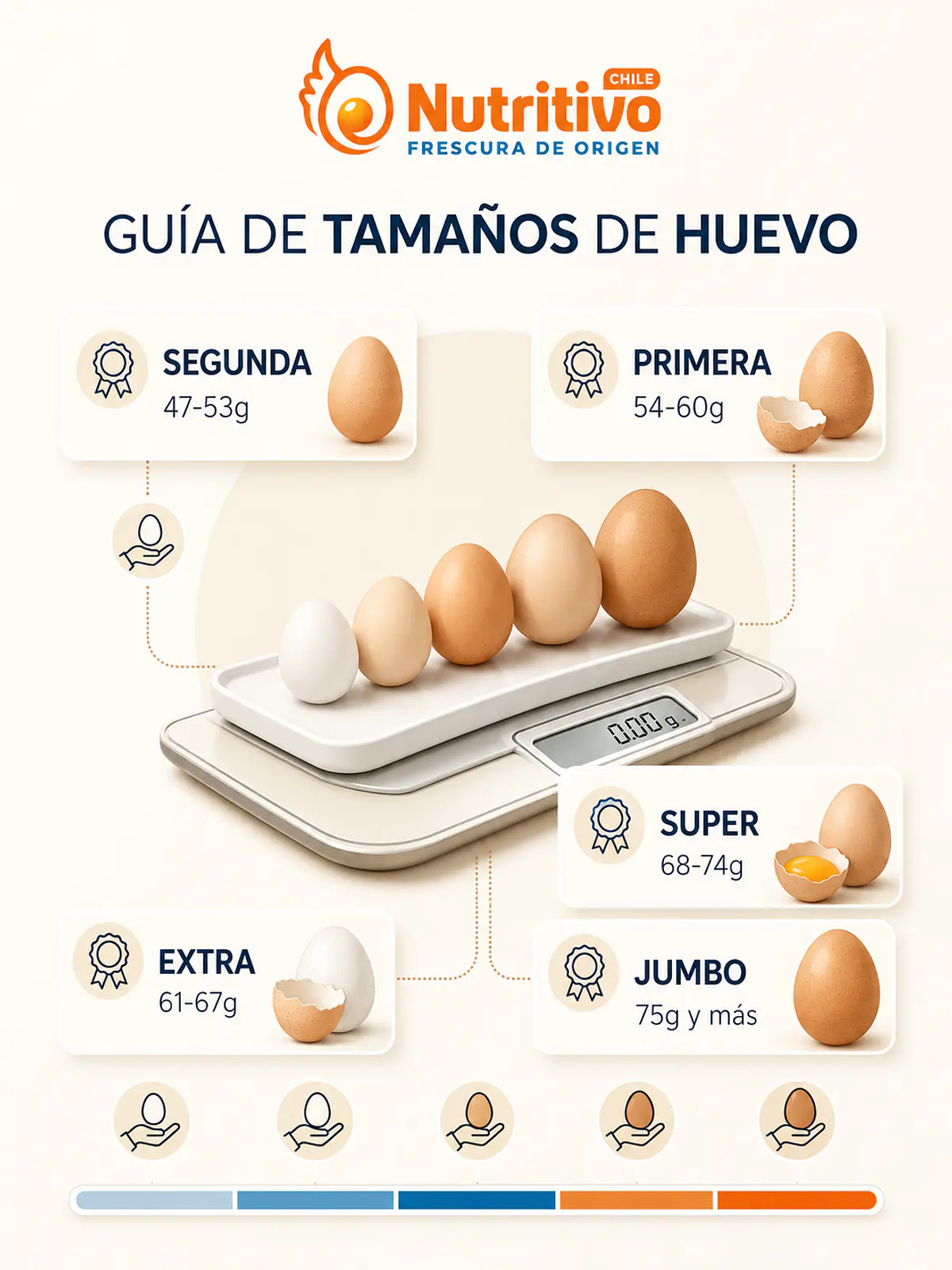 Nutritivo Chile