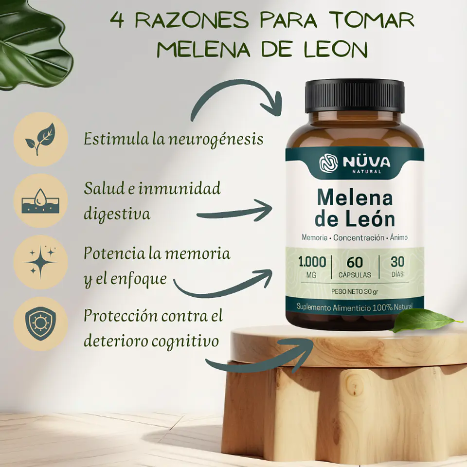 Melena de Leon 1000mg 60 Cap 2
