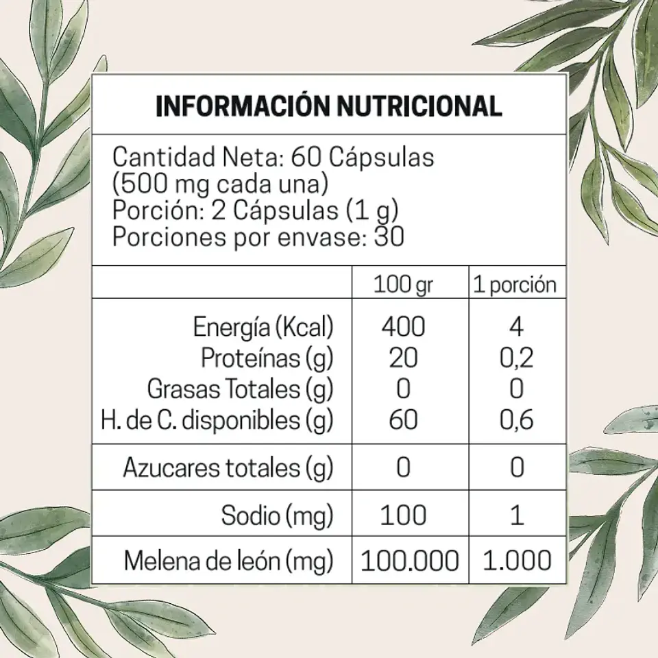Melena de Leon 1000mg 60 Cap 7