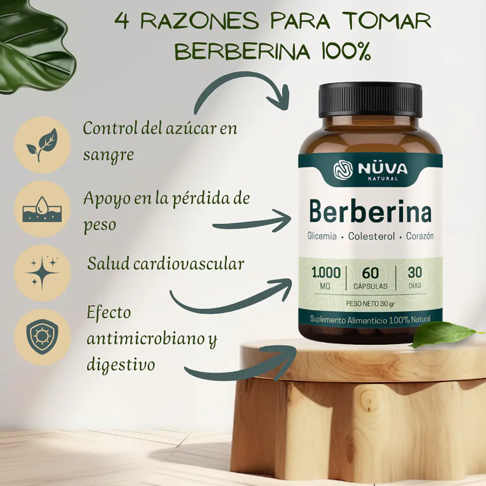 Berberina 1000mg 60 Cap 2