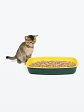 Demo - Litter (gato) - Miniatura 3