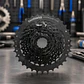 Piñon Shimano 8v cshg-31 11-34t - Miniatura 2