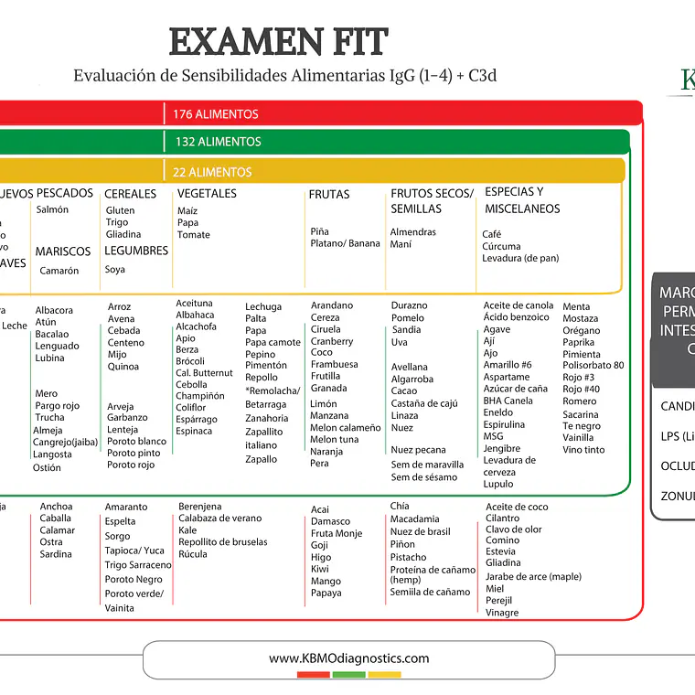 Examen de Sensibilidad Alimentaria - 132 Alimentos + Intestino Permeable 8
