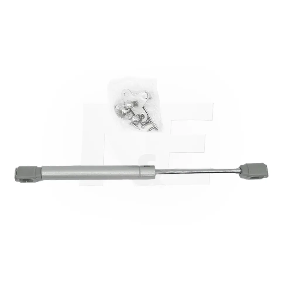 PISTÓN A GAS 80N 4