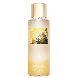 Oasis Blooms Victorias Secret 250Ml Mujer Colonia