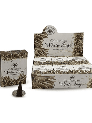 Inc. Cone Invertido Sálvia Branca (12 Cones)