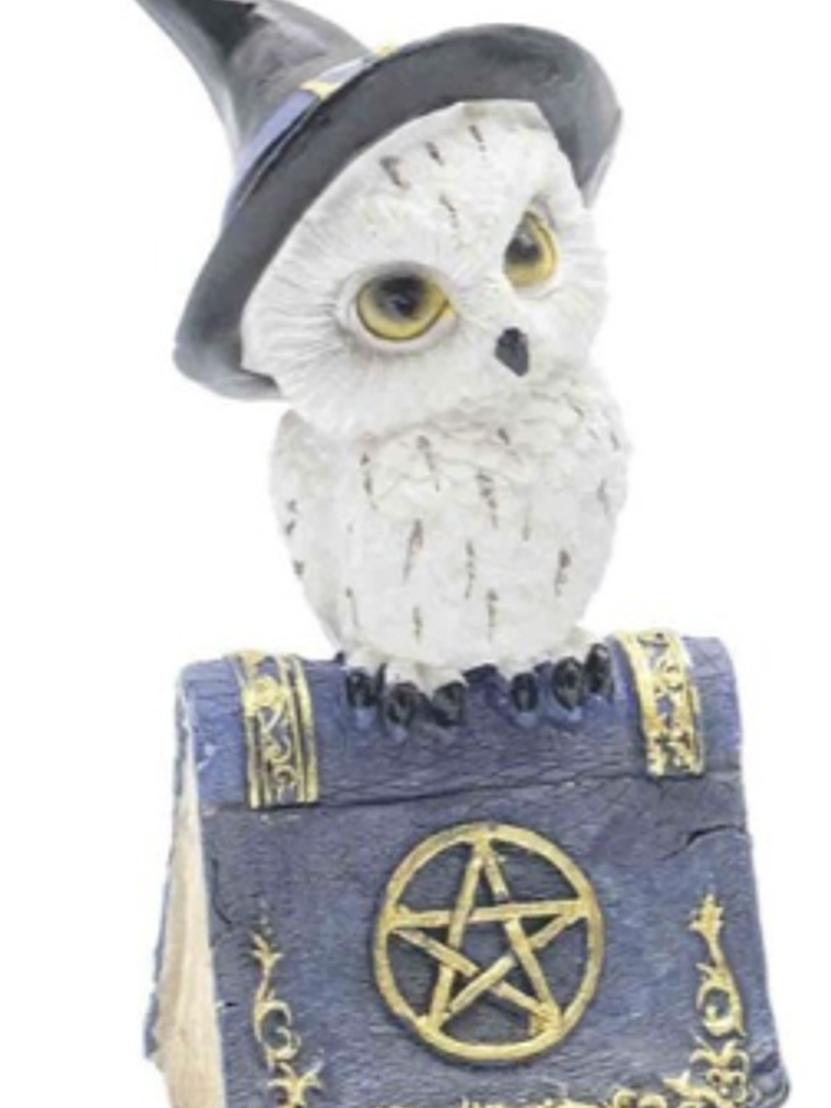 Mocho Resina A 5,7x5,5x12,5cm 1