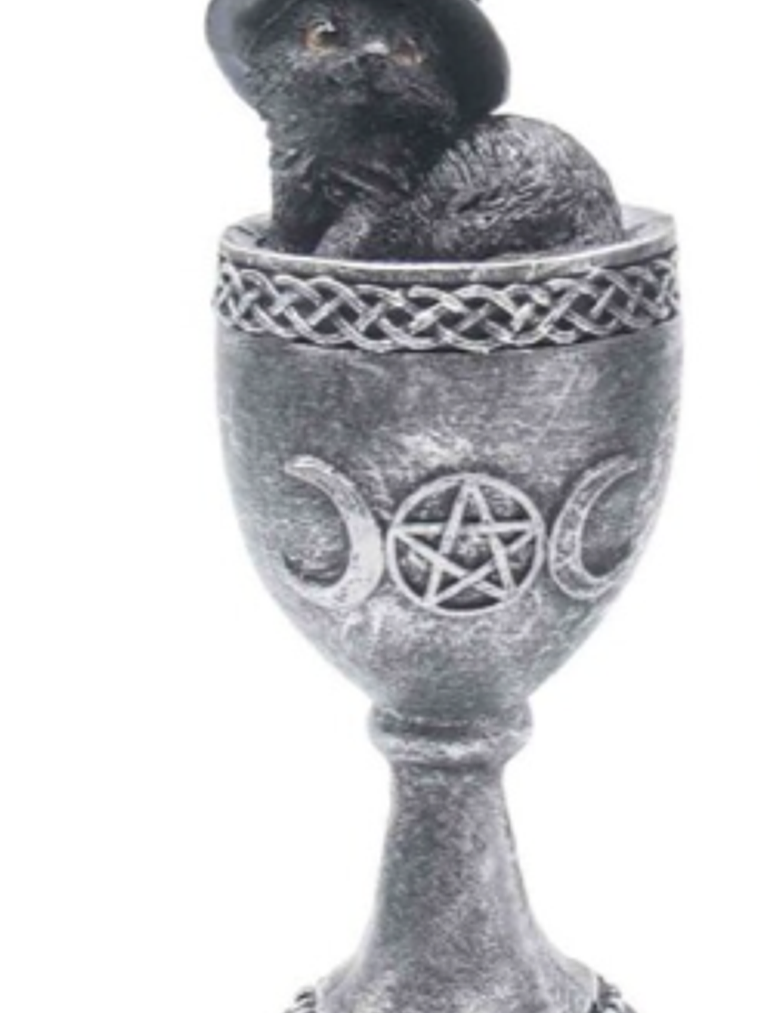 Gato Wicca Resina A 6,5x6x15,7cm 1