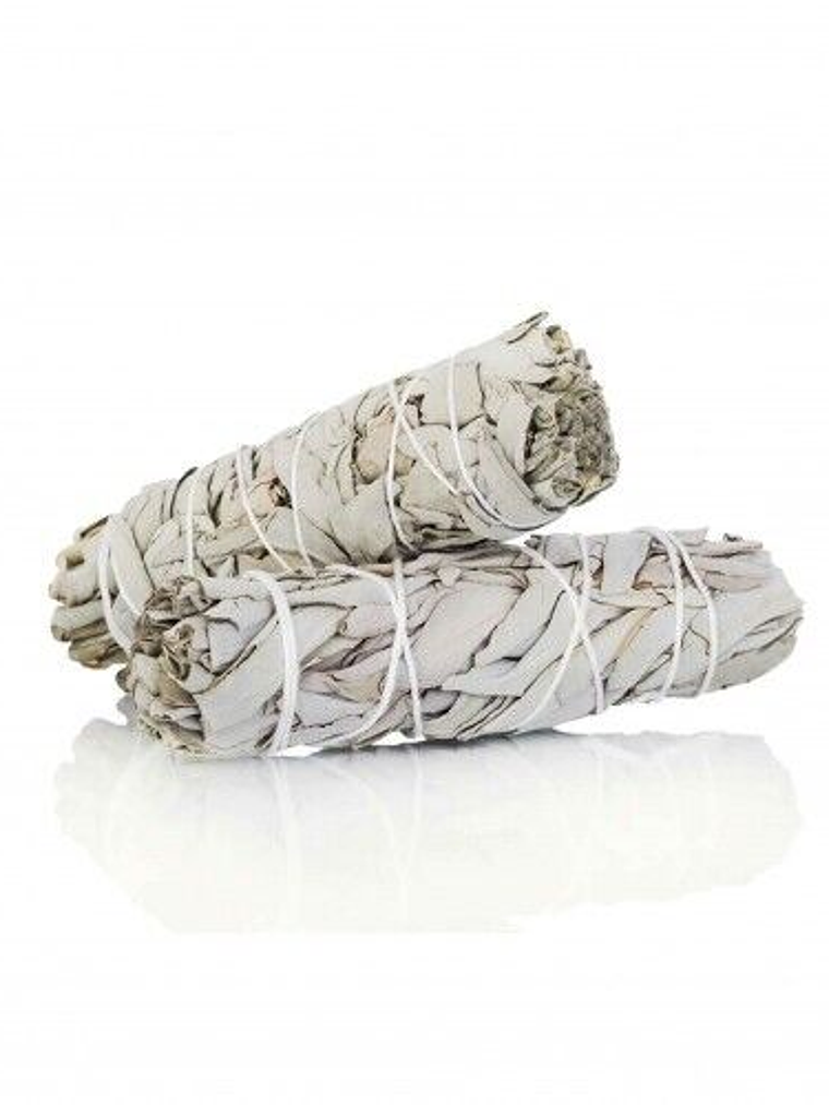 Tocha de Sálvia Branca 10 Cm 1