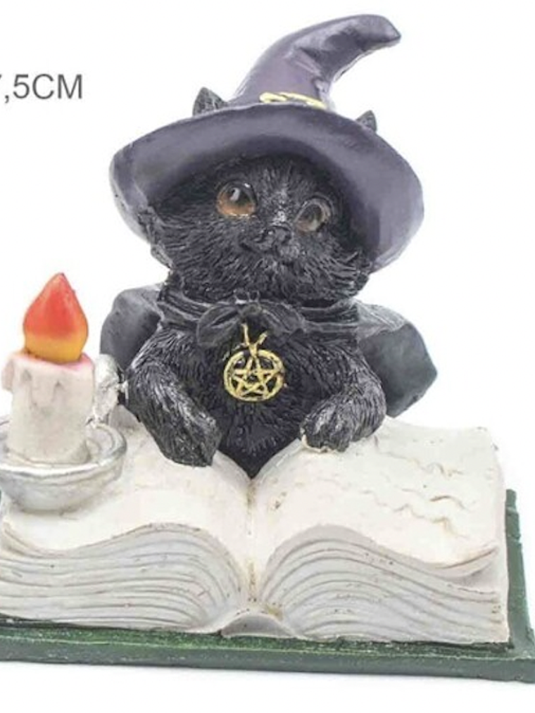 Gato Wicca Resina A 8,5x8,5x7,5cm 1
