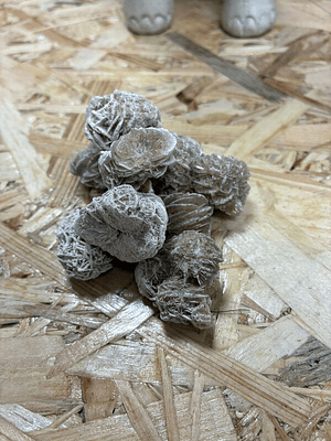 Unid. Rosa do Deserto