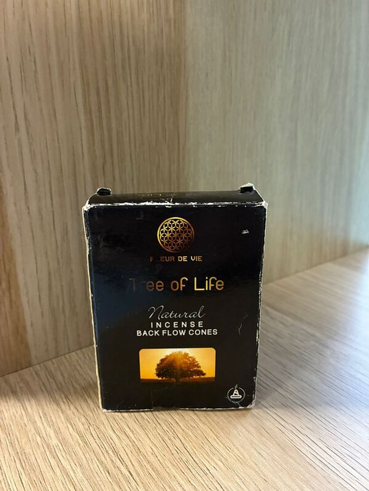 Inc. Cone Black Flow 1