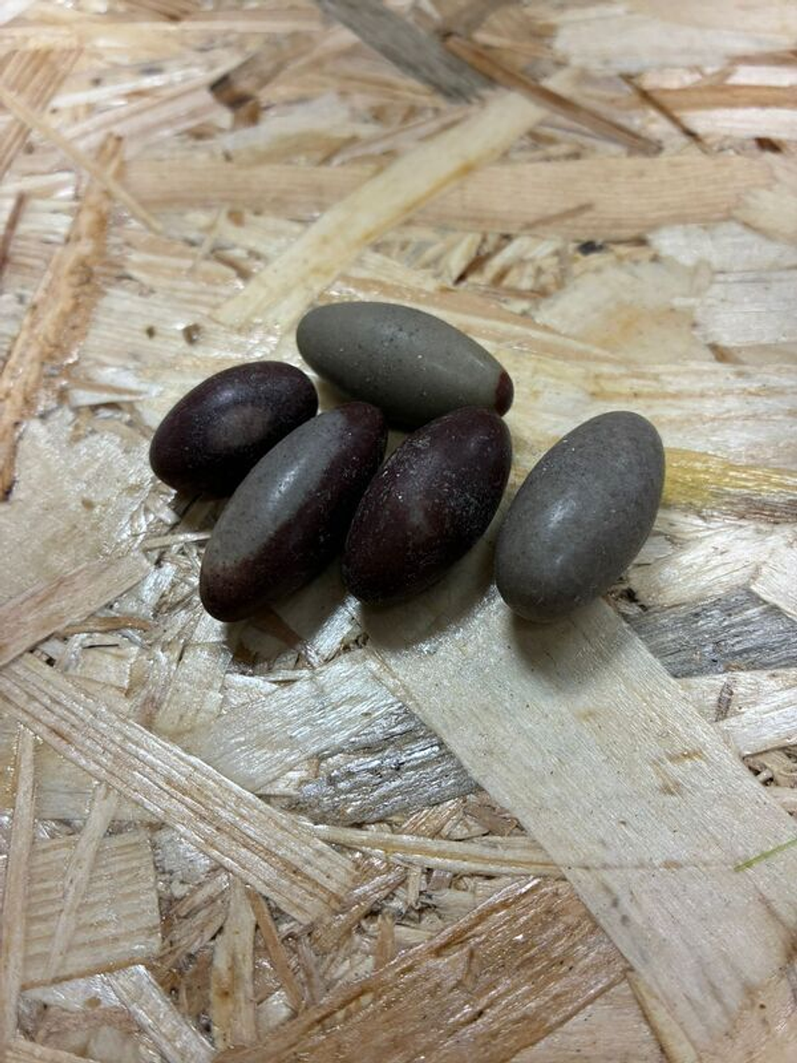 Unid. Lingam de Shiva 1