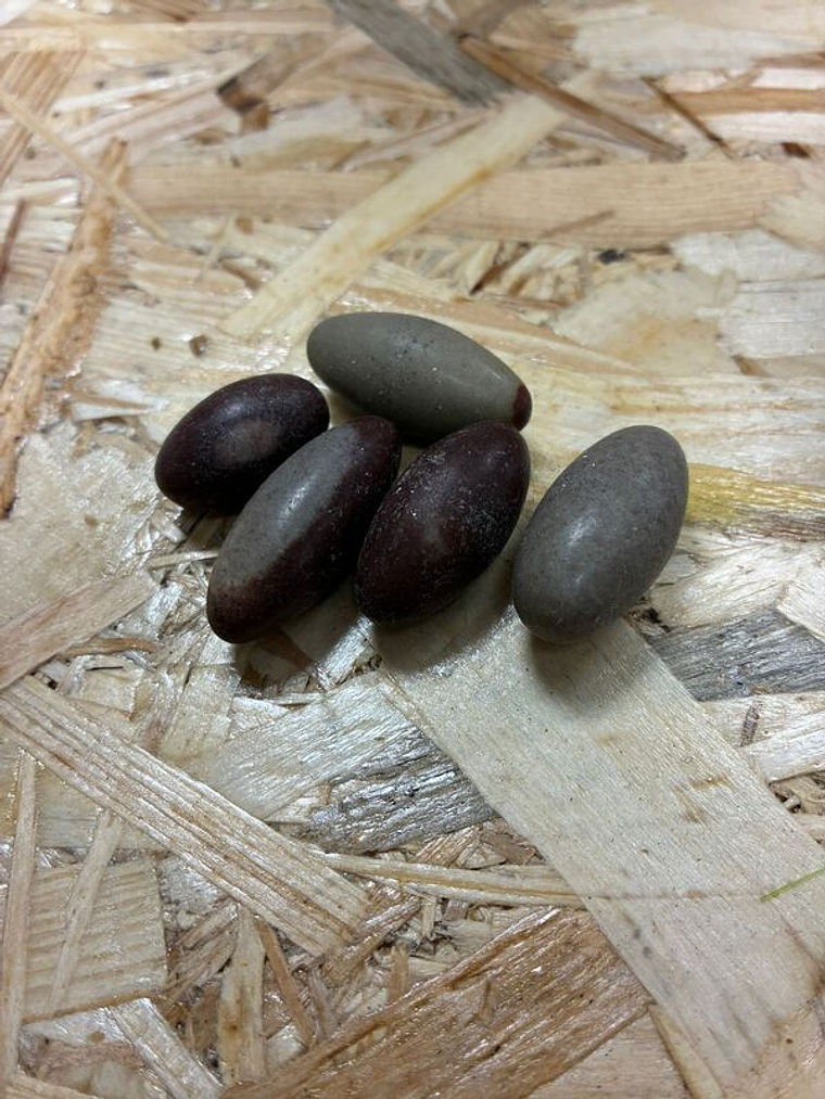 Unid. Lingam de Shiva 1